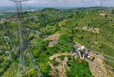 Tembus Fortune Global 500, PLN Terus Perkuat Daya Saing di Kancah Dunia