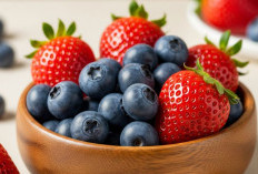 Tanaman Obat Blueberry dan Stroberi, Kombinasi Berry Peningkat Daya Ingat dan Fungsi Otak Optimal