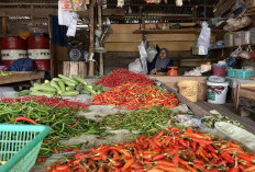 Harga Cabai Merah Besar di Pasar Pulau Mas Kembali Naik, Namun Masih di Batas Normal