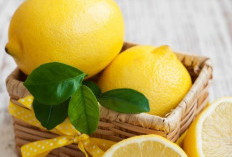 Hati-hati! Penggunaan Lemon Ke Kulit Wajah, Ini Penjelasannya