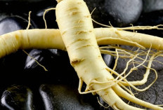 Ini Dia Keunggulan Ginseng dan Manfaatnya bagi Kesehatan Tubuh