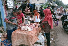 Harga Bahan Pokok di Empat Lawang Terpantau Normal