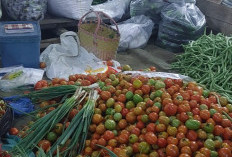 Harga Cabe Nyaris Setara Harga Daging