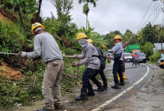 Gubernur Sumbar Apresiasi Kerja PLN Pulihkan Listrik Pascabencana