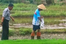 Lapas Kelas IIB Kembangkan Program Pertanian untuk Warga Binaan