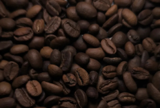 Ternyata Kopi Hitam Ivory Jenis Unik dan Langka, Pantas Harganya Mahal