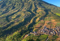 Bukit Sikendil Sibajag, Tempat Yang Cocon Untuk Bersantai dan Menikmati Keindahan Alam