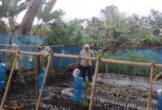 DLH Lahat Manfaatkan Sampah Non Organik, Ajak Kurangi Ketergantungan Pestisida Kimia