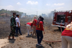 Lahan Semak Belukar Terbakar, Dekat Bekas Stockpile Batubara