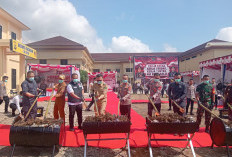 Kapolda Sumsel Pimpin Pemusnahan Ganja di Empat Lawang, Tegaskan Perang Tanpa Henti Melawan Narkoba