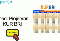 Bunga Rendah, Pinjaman KUR BRI Kian Diminati Agus Ingin Buka Pangkalan Gas 