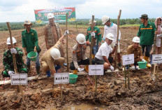 Kapolres, Pj Bupati dan Forkopimda Tanam Jagung Secara Serentak