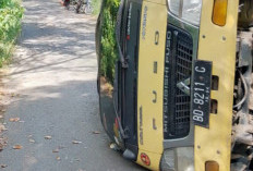 Gagal Menanjak, Truk Muatan Pakan Ayam Terguling