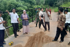 Pembangunan Desa Karang Rejo Fokus Peningkatan Infrastruktur Untuk Hasil Pertanian