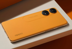 6 Rekomendasi HP OPPO Terbaru yang Layak Dibeli