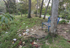 Sampah Berserakan di Taman Kolam 