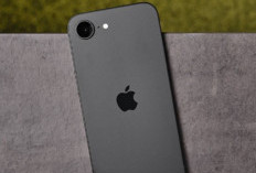 Waduh! Apple Akan Jual iPhone 17e di Bulan Ini, Intip Rinciannya