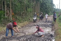 Potret Kepedulian Warga Desa, Jalan Rusak Diperbaiki dengan Semangat Kebersamaan