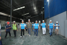Semarak Kemerdekaan! PLN UP3 Jambi Energize Electrifying Agriculture 1.730 kVA untuk PT Agro Bumi Sumatera