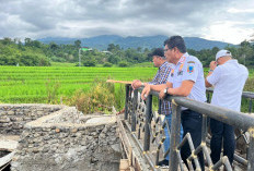 Bupati Bursah Zarnubi Tinjau Proyek Perikanan, Temukan Bangunan Amblas dan Retak