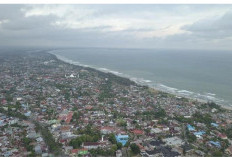 Wow, Ternyata Pantai Panjang Bengkulu, Pantai Terpanjang di Asia Tenggara
