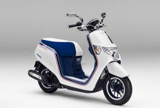 Lebih Praktis dan Stylish! Honda Dunk Terbaru Siap Jadi Andalan di Jalanan Kota