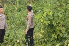 Satu Titik Hotspot Terdeteksi di Empat Lawang