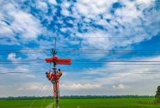 UPDATE : Pendapatan PLN Tumbuh Tembus Rp 487 Triliun, Ditopang Peningkatan Penjualan Tenaga Listrik