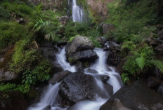 Curug Lawe, Menawarkan Pengalaman Wisata Alam Yang Menyegarkan