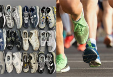 Rekomendasi Sepatu Lari Terbaru 2025 untuk Pemula Hingga Atlet Profesional