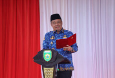 Wagub Cik Ujang Ajak ASN Sumsel Sukseskan Pornas Korpri sebagai Ajang Solidaritas Nasional