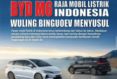 Ini Dia 10 Mobil Listrik Terlaris di Indonesia Tahun 2024, Didominasi Pabrik Otomotif Asal Tiongkok