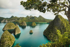 Waw! Ini Dia 7 Pulau Terbesar di Dunia, Tiga Diantaranya Ada di Indonesia