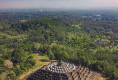 Ini Loh Tiga Candi Terbesar dan Terluas di Indonesia