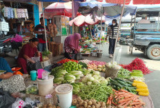  Harga Sayur Meroket, Imbas Kemarau Panjang