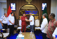 Ombudsman RI Bahas Peningkatan Pelayanan Publik Sumsel