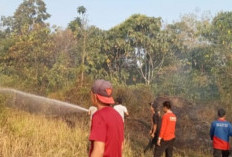 Lahan Exs PT LIP Lagan Jaya Terbakar