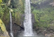 Dikelilingi Hutan Tropis, Curug Carang Tempat Yang Cocok Untuk Menikmati Ketenangan dan Keindahan Alam