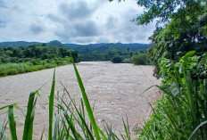 Debit Sungai Musi Naik, Warga Tingkatkan Waspada