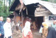 Pasca Ditimpa Pohon, Pemilik Rumah Masih Tetap Bertahan