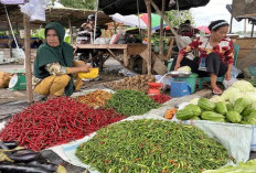 Harga Cabai Berangsur Turun Pasca-Idulfitri, Pasokan Kembali Lancar di Pasar Pulau Mas