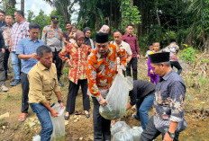 Pelepasan Bibit Ikan, Bupati Bursah Zarnubi Tegaskan Perkuat Ketahanan dan Swasembada Pangan