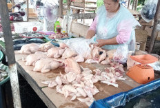 Harga Daging Ayam Tembus Rp 35 Ribu