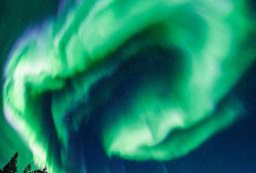 Waw! Aurora Borealis Terlihat Jelas Pada Bulan Ini Loh