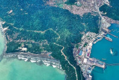 Pelabuhan Teluk Bayur, Menghubungkan Berbagai Daerah Dengan Perdagangan Internasional
