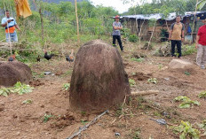 LUMPANG BATU SUKA MERINDU