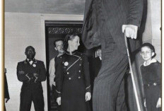 Robert Wadlow! Mengenang Kisah Manusia Tertinggi yang Dikenal Sebagai The Alton Giant 