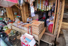 Harga Telur Ayam Melonjak Naik, Jelang Pergantian Tahun