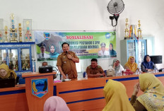 Tugas Pokok Posyandu Desa Bertambah Layani 6 SPM, Tidak Hanya Bidang Kesehatan