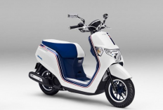 Lebih Praktis dan Stylish! Honda Dunk Terbaru Siap Jadi Andalan di Jalanan Kota